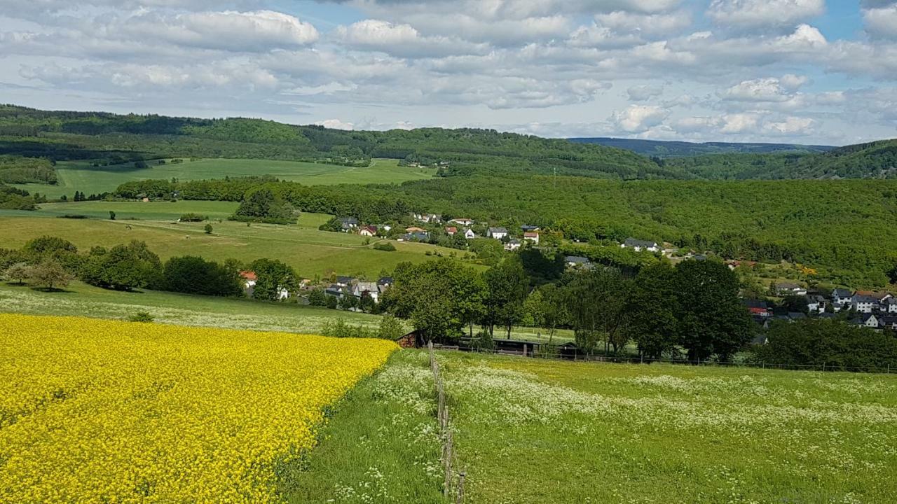 Ferienwohnung Brillant Am Nationalpark Hunsrueck-Hochwald Hettenrodt Eksteriør billede